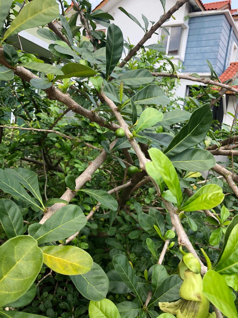 autism, kids, hyperactive